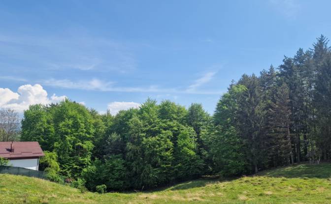 Land Lot for Sale Strada Talii 40, Gura Beliei. Photo#5