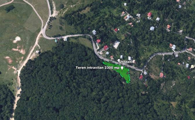 Land Lot for Sale Strada Talii 40, Gura Beliei. Photo#2
