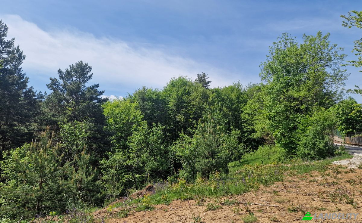 Land Lot for Sale Strada Talii 40, Gura Beliei, Breaza, Prahova, Romania. Photo 6