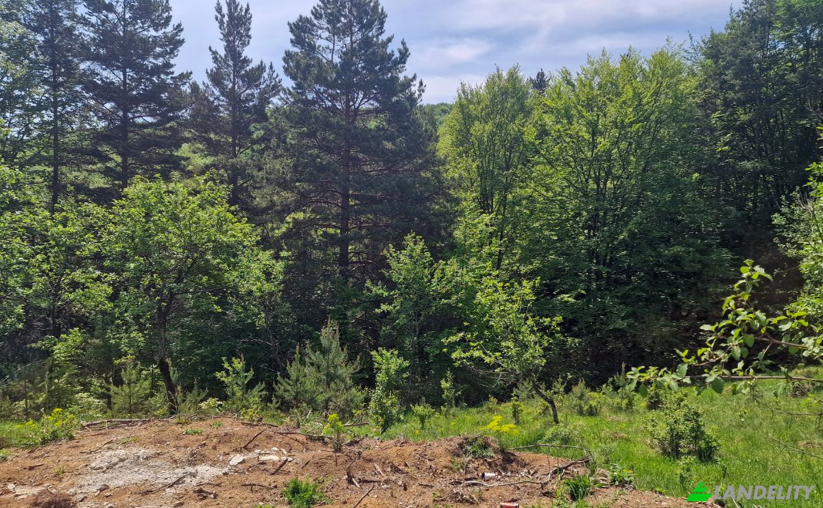 Land Lot for Sale Strada Talii 40, Gura Beliei, Breaza, Prahova, Romania. Photo 8