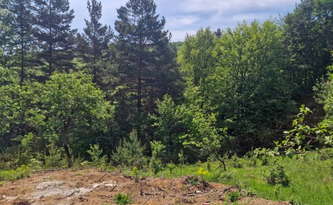 Land Lot for Sale Strada Talii 40, Gura Beliei. Photo#8