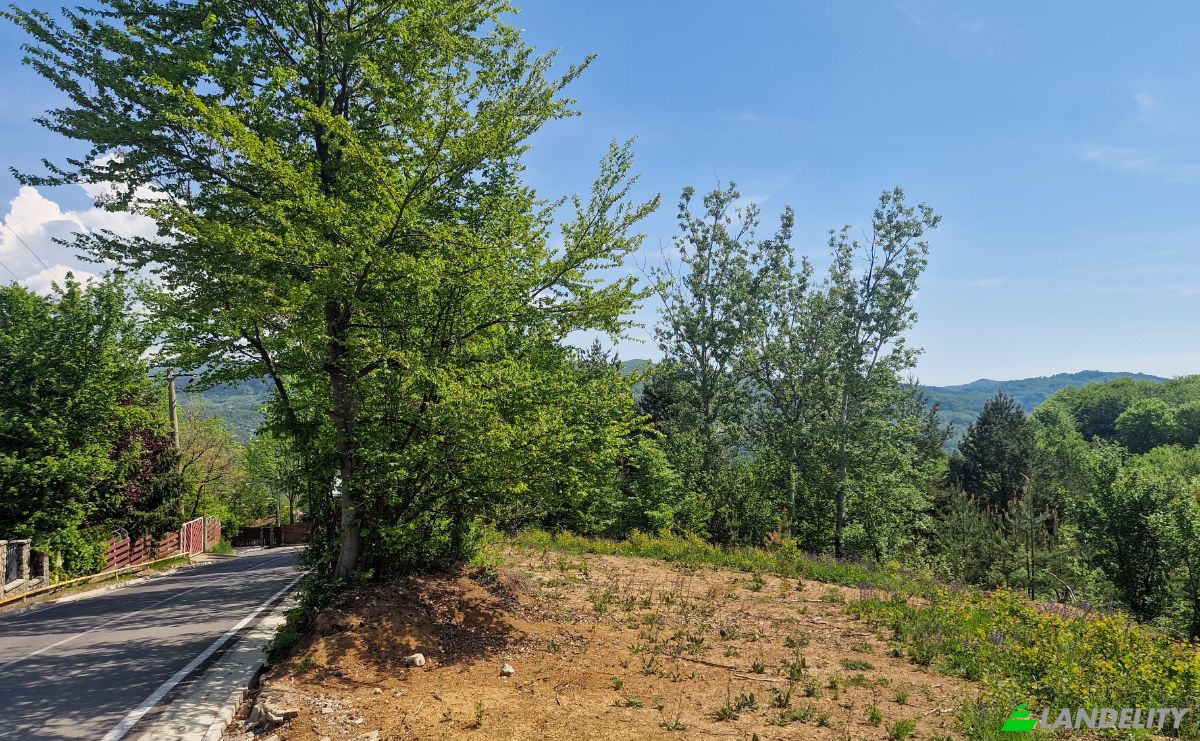 Land Lot for Sale Strada Talii 40, Gura Beliei, Breaza, Prahova, Romania. Photo 10