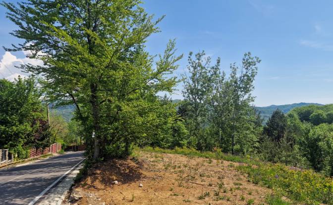 Land Lot for Sale Strada Talii 40, Gura Beliei. Photo#10