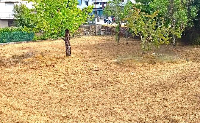 Land Lot for Sale Via Cavanella. Photo#3