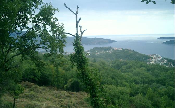 Land Lot for Sale - Trebesinj, Montenegro