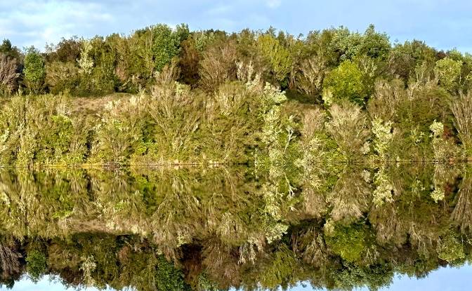 Land Lot for Sale - Los Rulos, Chile