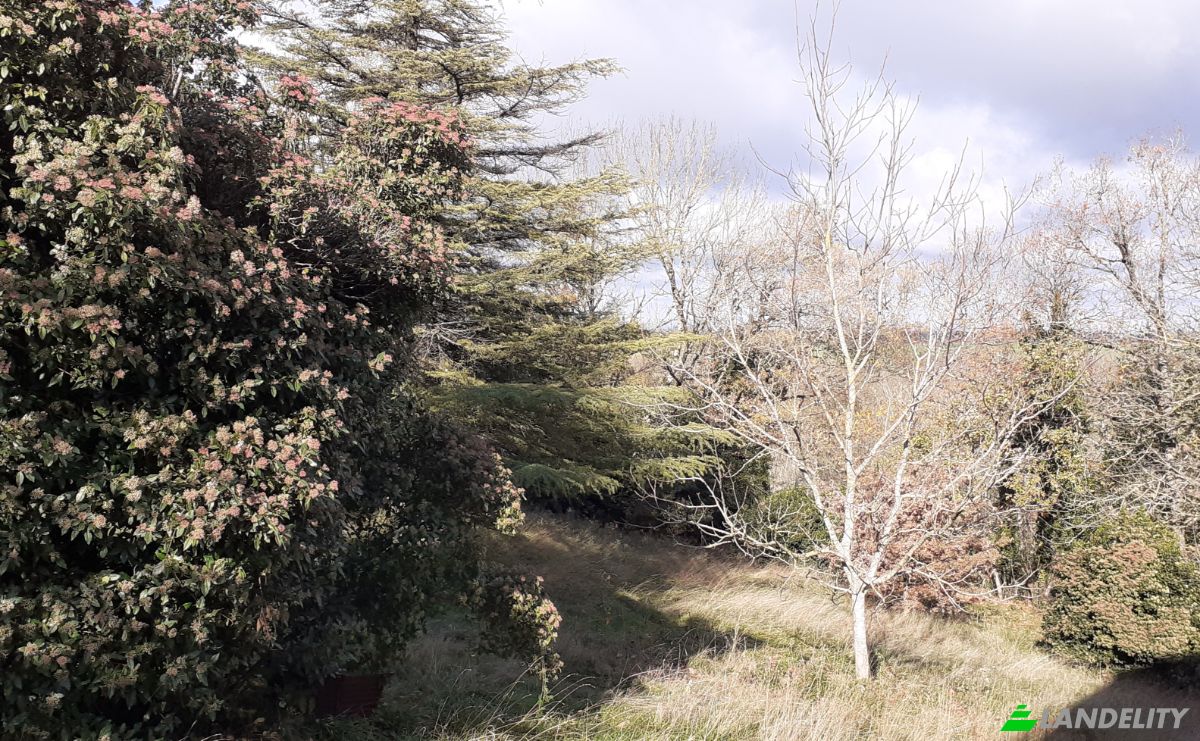 Villa for Sale 6685 Rte de Massals, 81250 Paulinet, Paulinet, Tarn, Occitanie, France. Photo 3