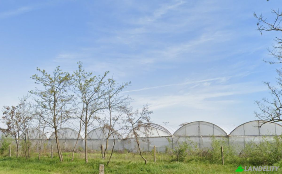 Farm/Ranch for Sale Tiszakecske, Kecskemet District, Bacs-Kiskun, Hungary, Kerekdomb u. Photo 6