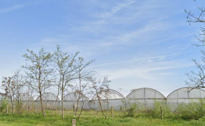 Farm/Ranch for Sale Tiszakecske. Photo#6