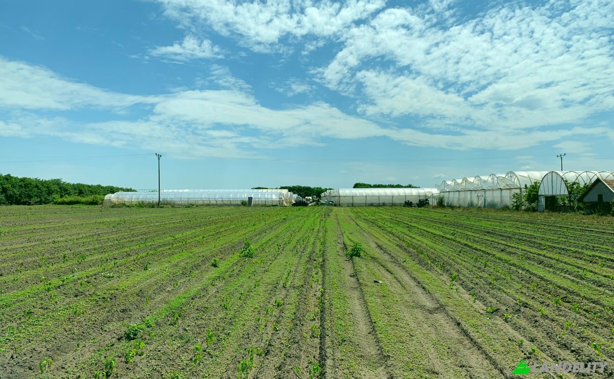 Farm/Ranch for Sale Tiszakecske, Kecskemet District, Bacs-Kiskun, Hungary, Kerekdomb u. Photo 3