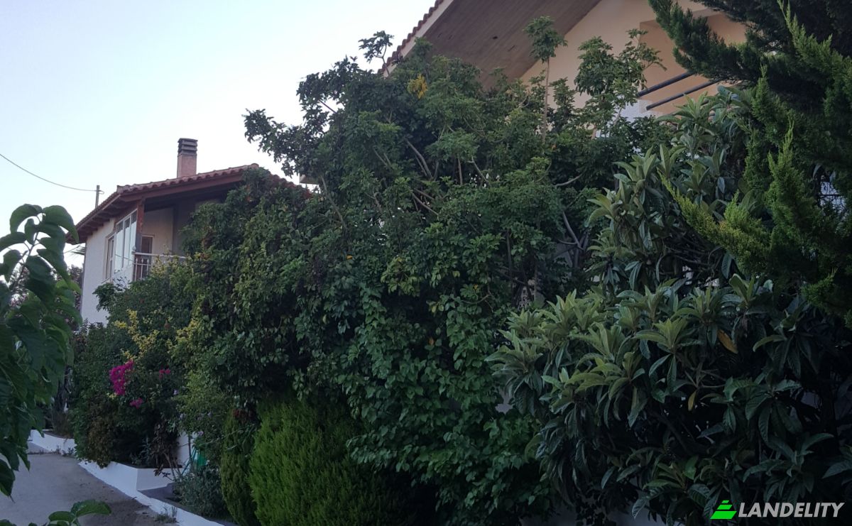 Villa for Sale Siri 190 01, Siri, Attica, Decentralized Administration of Attica, Greece. Photo 4