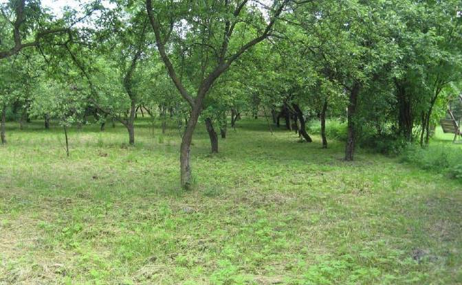 Land Lot for Sale - Sucha Beskidzka, Poland