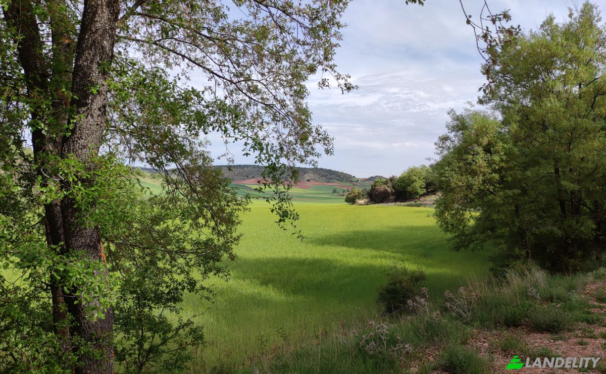 Single Family Home for Sale C San Roque, Tierzo, Guadalajara, Castile-La Mancha, Spain. Photo 2