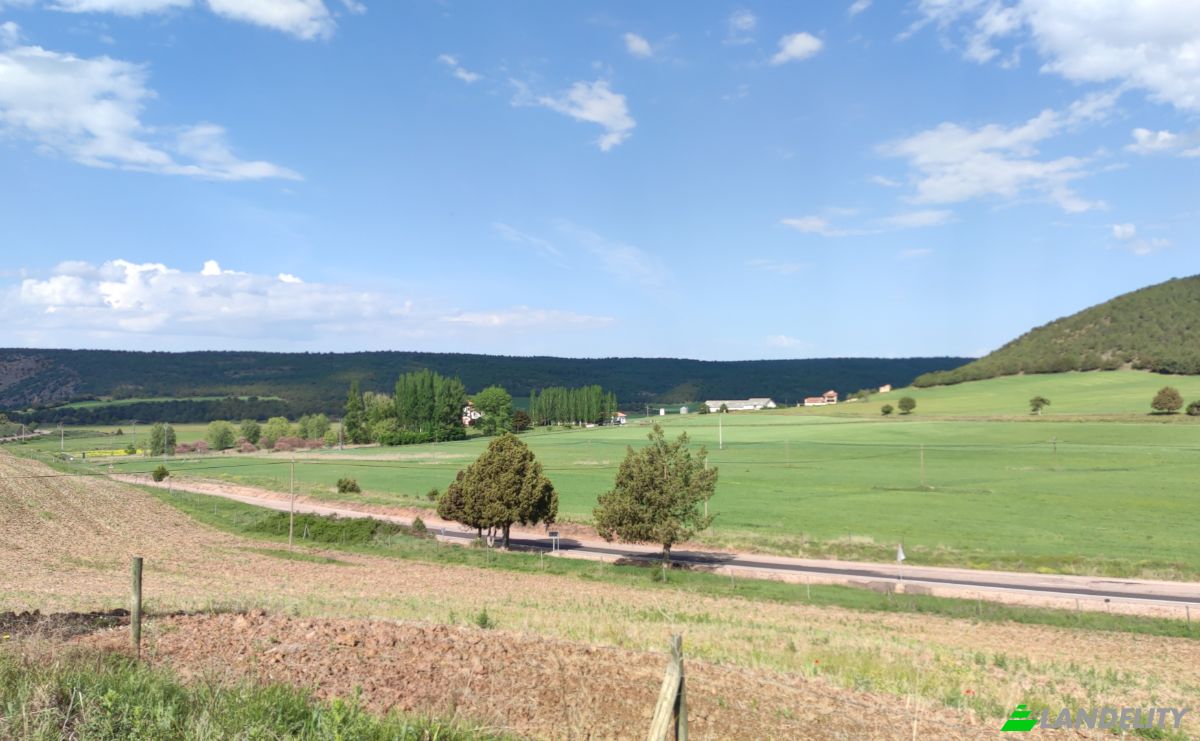 Single Family Home for Sale C San Roque, Tierzo, Guadalajara, Castile-La Mancha, Spain. Photo 3