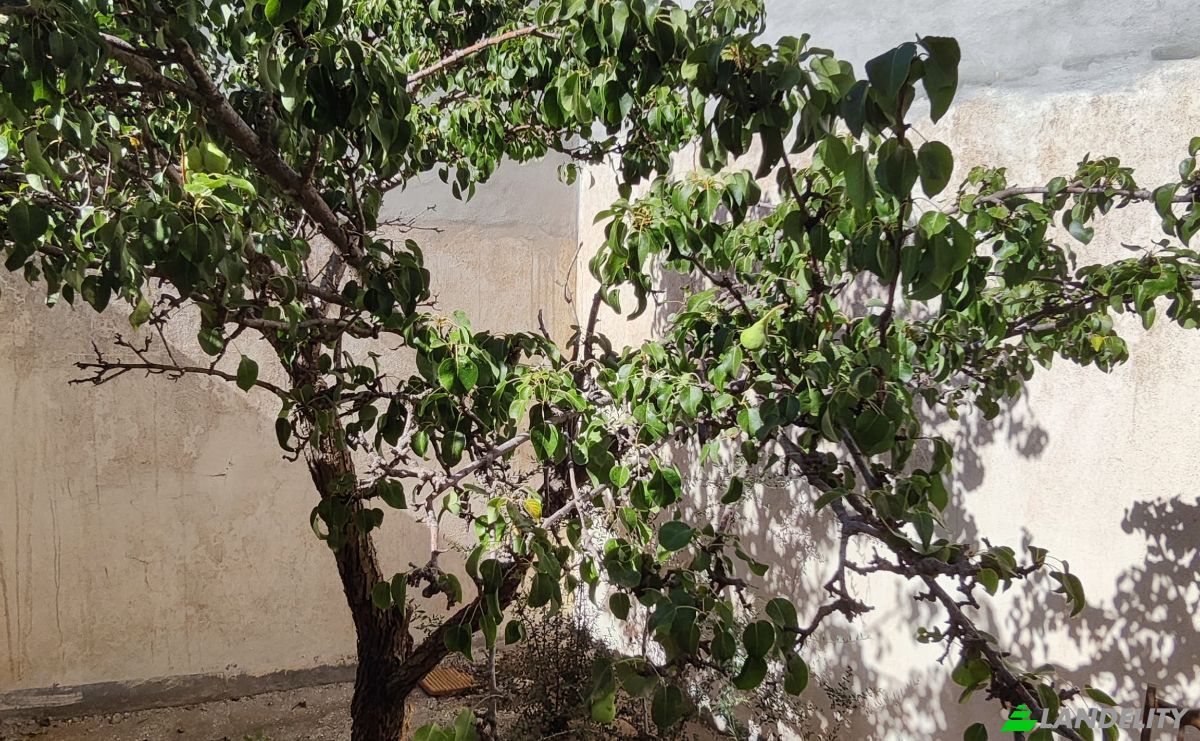 Stadthaus zu verkaufen C San Sebastian, Casabermeja, Malaga, Andalusia, Spain. Foto 15