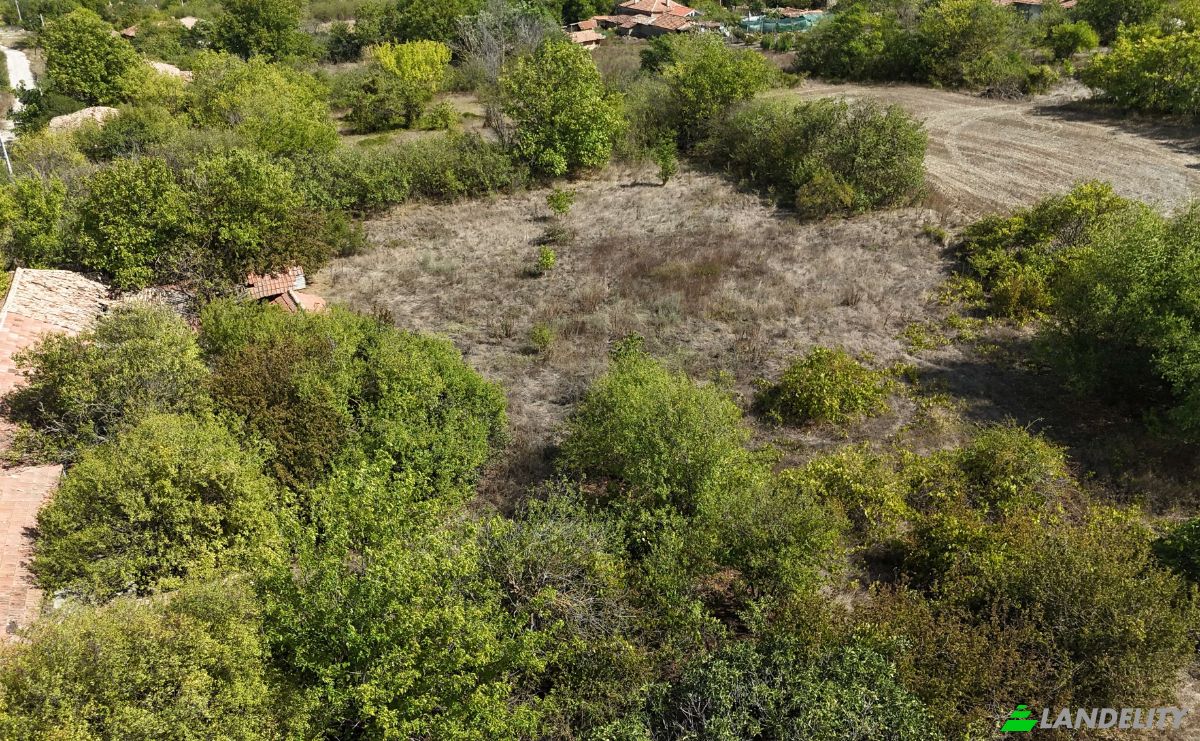 Farm/Ranch for Sale 9233 Ovchaga, Ovchaga, Provadia, Varna, Bulgaria. Photo 6