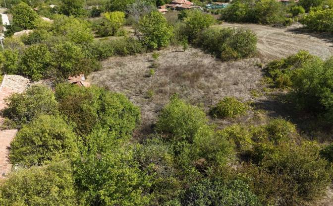 Farm/Ranch for Sale 9233 Ovchaga, Ovchaga. Photo#6 Farm/Ranch for Sale 9233 Ovchaga, Ovchaga. Photo#6