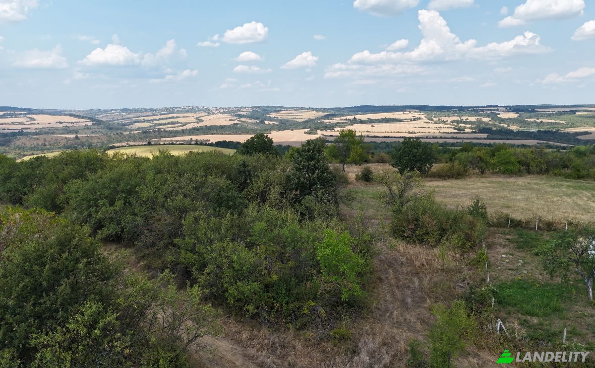 Land Lot for Sale 4006 18, 7977 Orach, Oraci, Antonovo, Targovishte Province, Bulgaria. Photo 2
