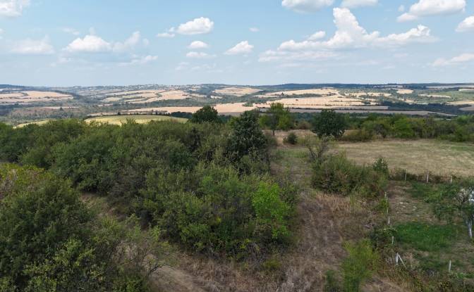 Land Lot for Sale 4006 18, 7977 Orach, Oraci. Photo#2 Land Lot for Sale 4006 18, 7977 Orach, Oraci. Photo#2