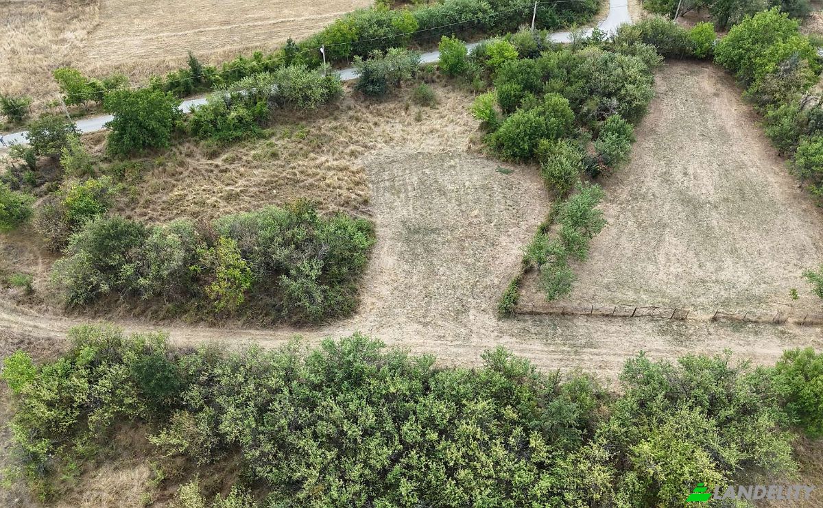 Land Lot for Sale 4006 18, 7977 Orach, Oraci, Antonovo, Targovishte Province, Bulgaria. Photo 5
