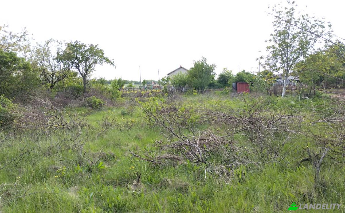 Grondperceel Te koop 9387 Dobrich, Kozloduytsi, Dobrichka Municipality, Dobrich Province, Bulgaria. Foto 3