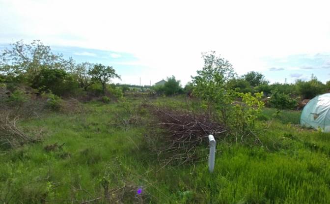 Grondperceel Te koop 9387 Dobrich, Kozloduytsi. Foto#2