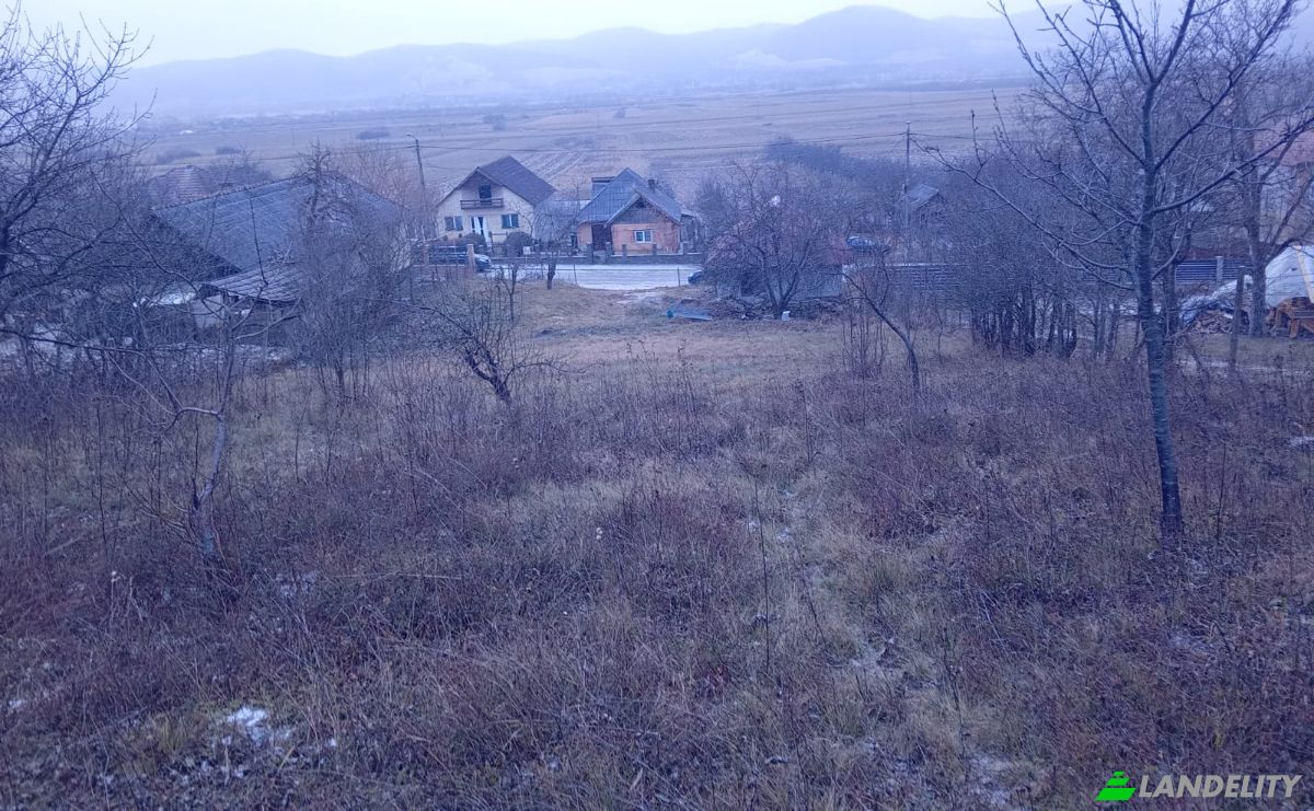 Bungalow en venta DC2 75, 407182 Salisca, Salisca, Catcau, Cluj County, Romania. Foto 2