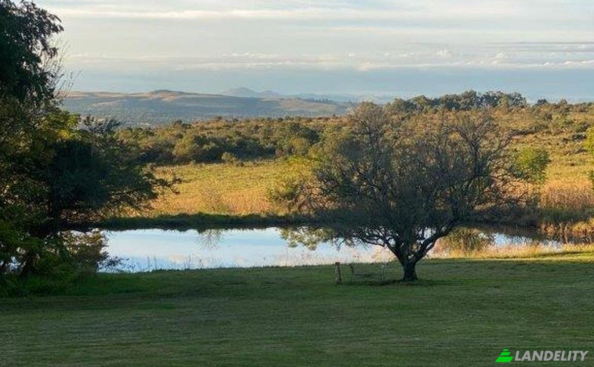 Ferme/Ranch à vendre Tuam, Amajuba District Municipality, KwaZulu-Natal, South Africa. Photo 4