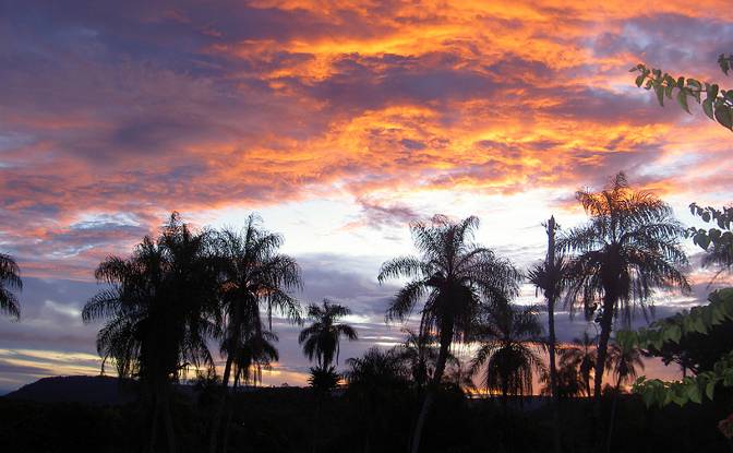 Farm/Ranch for Sale Concepcion, Novicia. Photo#9