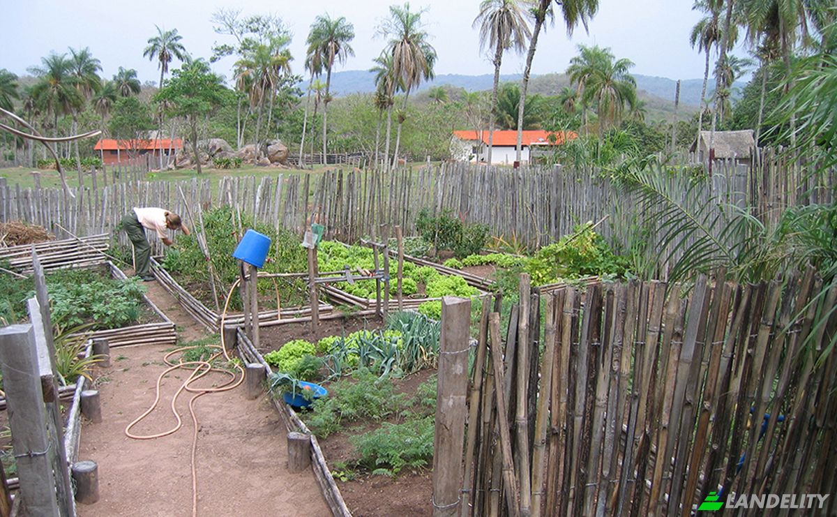 Farm/Ranch for Sale Concepcion, Novicia, Nuflo de Chavez, Santa Cruz Department, Bolivia. Photo 3