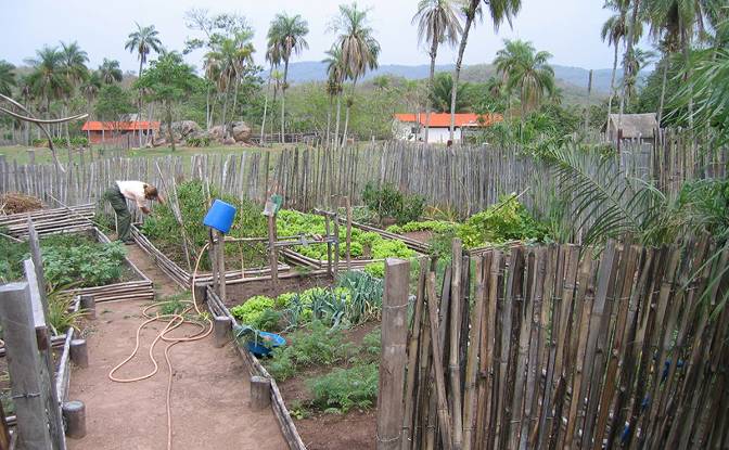 Farm/Ranch for Sale Concepcion, Novicia. Photo#3
