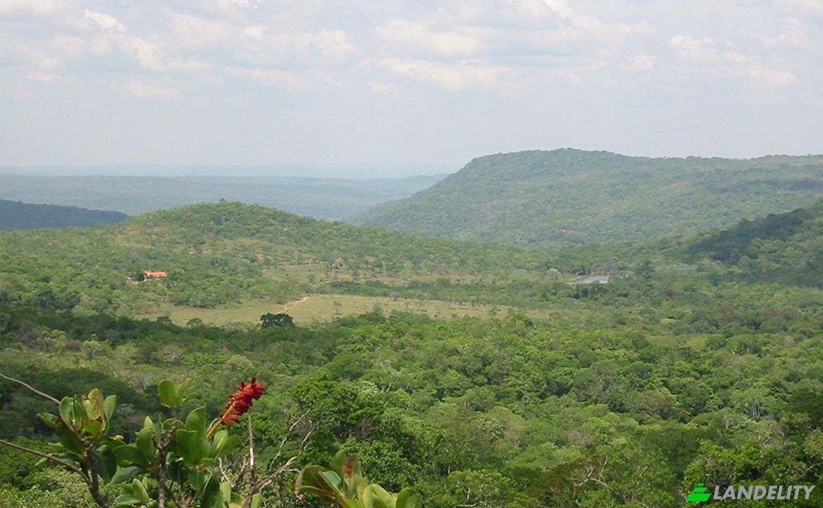 Farm/Ranch for Sale Concepcion, Novicia, Nuflo de Chavez, Santa Cruz Department, Bolivia. Photo 17