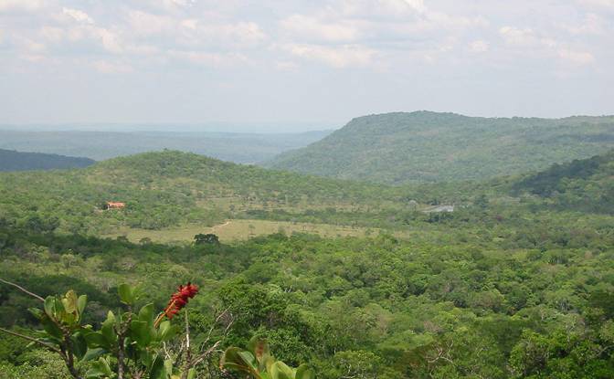 Farm/Ranch for Sale Concepcion, Novicia. Photo#17