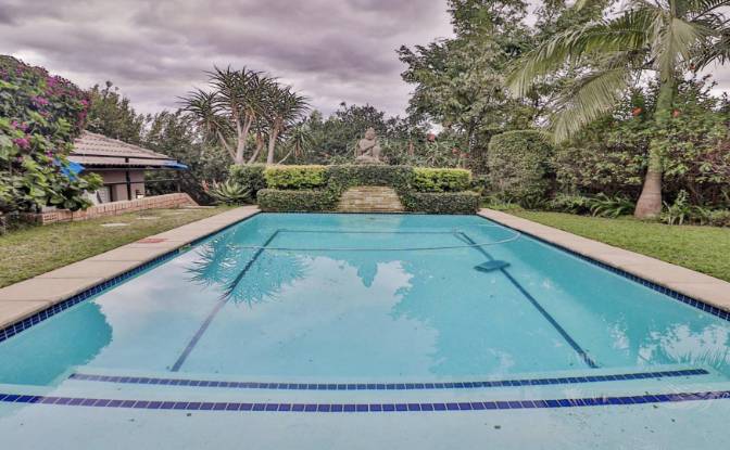 Single Family Home for Sale 6 Schoeman St. Photo#8