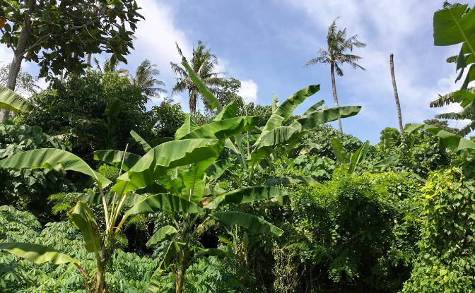 Grondperceel Te koop Jl Batu Tampih Kawan. Foto#3