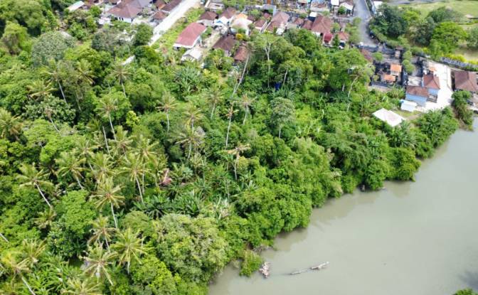 Land Lot for Sale Jl Batu Tampih Kawan. Photo#11 Land Lot for Sale Jl Batu Tampih Kawan. Photo#11