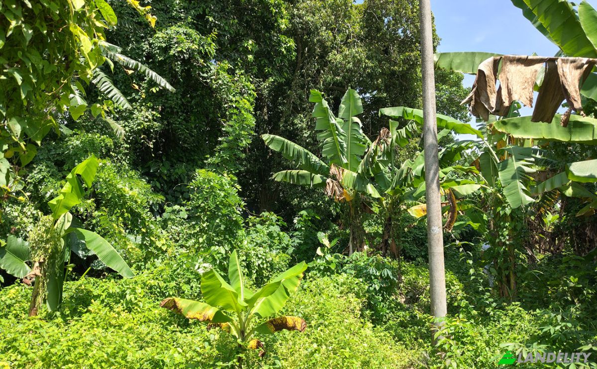 Land Lot for Sale Jl Batu Tampih Kawan, Pangkung Tibah, Kec Kediri, Kabupaten Tabanan, Bali 82115, Sudimara, Tabanan Regency, Bali, Indonesia. Photo 4