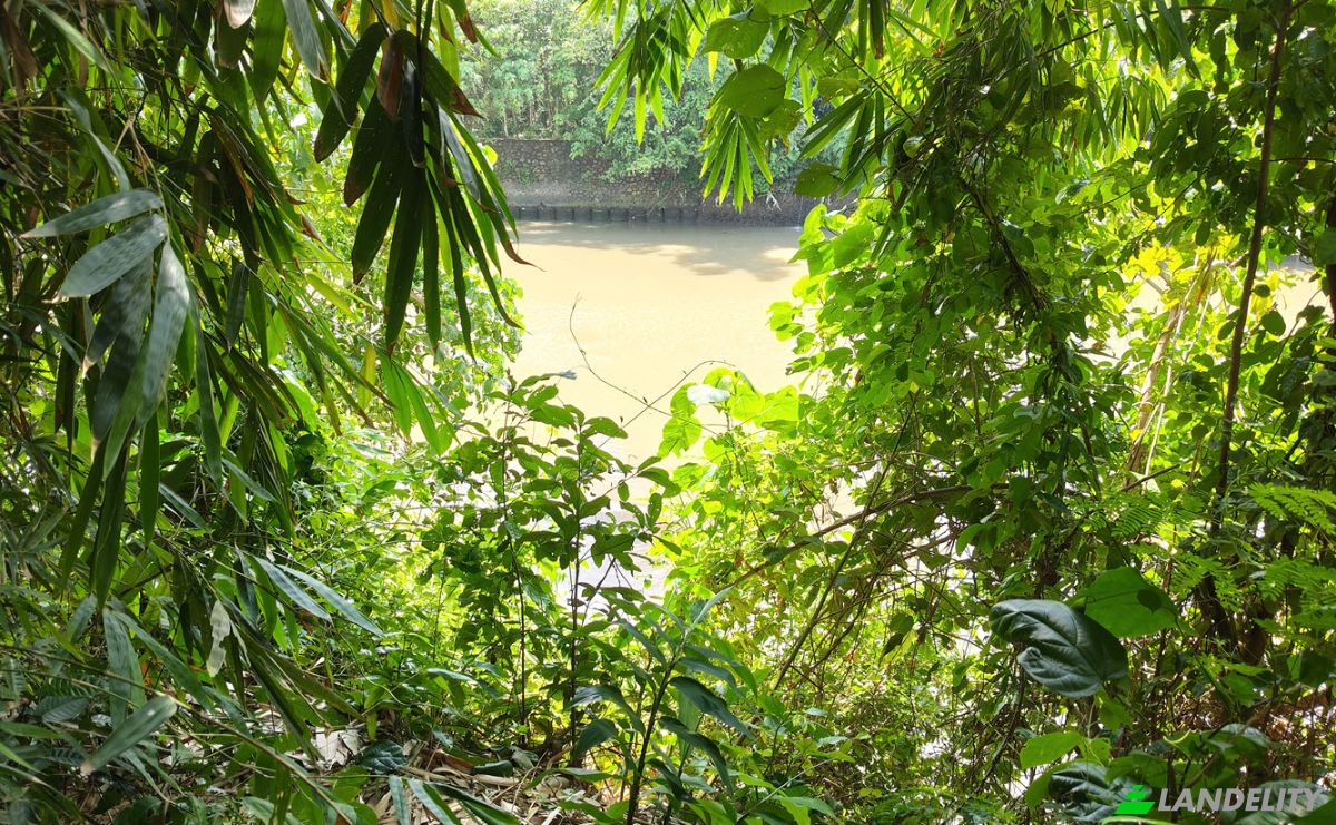 Land Lot for Sale Jl Batu Tampih Kawan, Pangkung Tibah, Kec Kediri, Kabupaten Tabanan, Bali 82115, Sudimara, Tabanan Regency, Bali, Indonesia. Photo 6