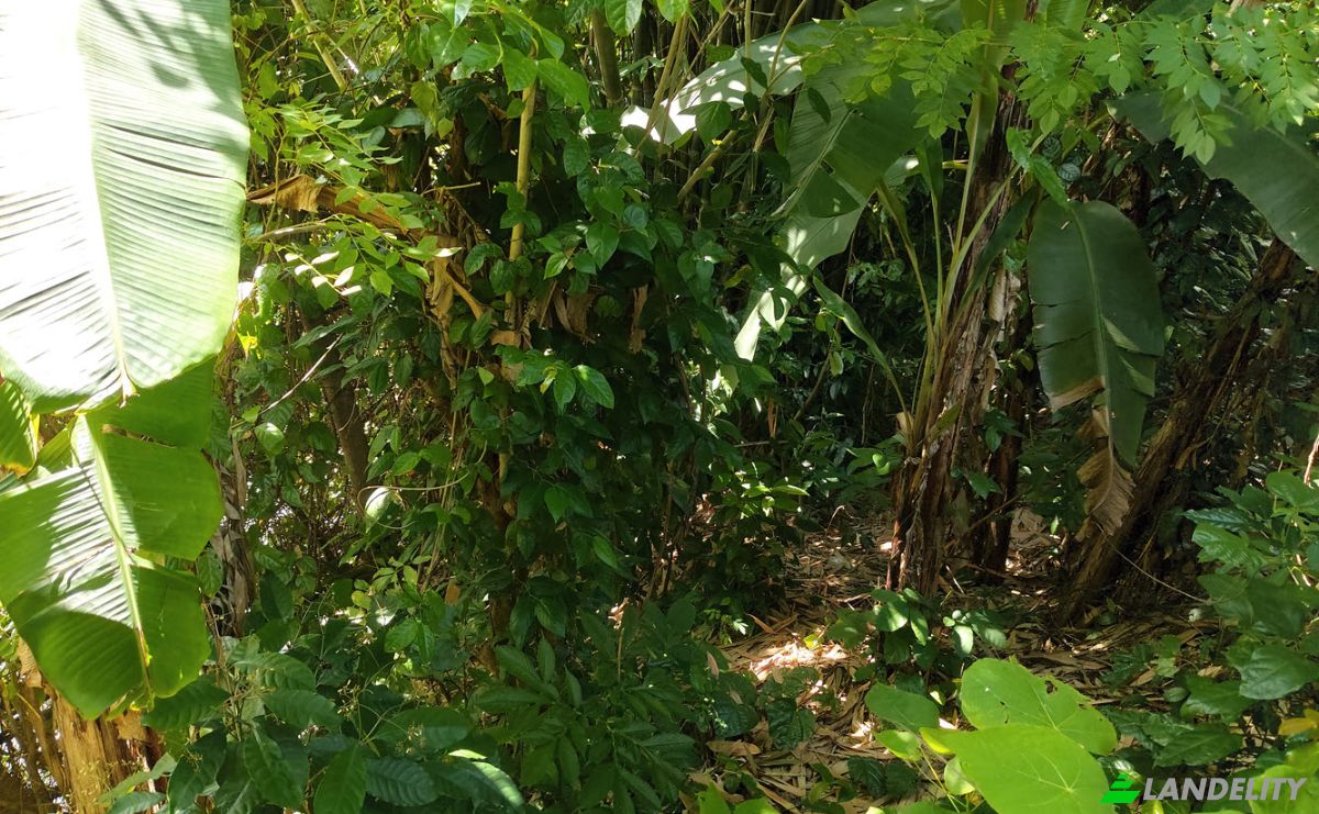 Land Lot for Sale Jl Batu Tampih Kawan, Pangkung Tibah, Kec Kediri, Kabupaten Tabanan, Bali 82115, Sudimara, Tabanan Regency, Bali, Indonesia. Photo 7
