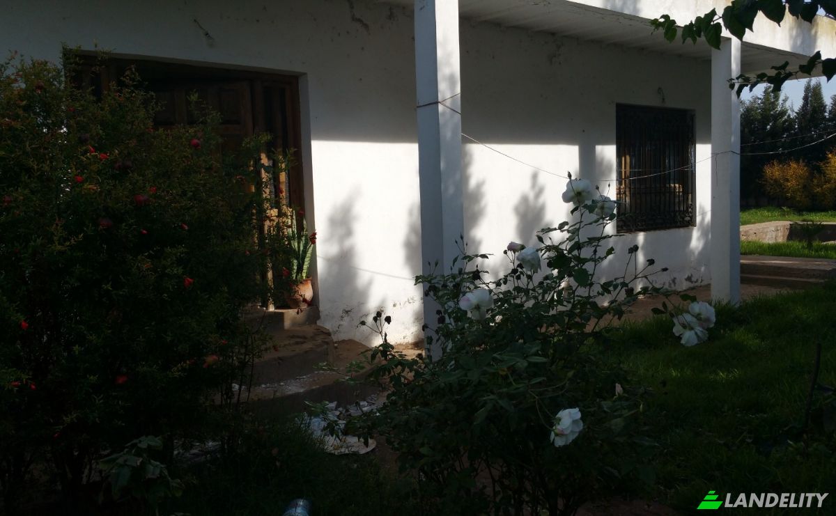 Villa for Sale Route Sans Nom, El Jadida, Casablanca-Settat, Morocco. Photo 6