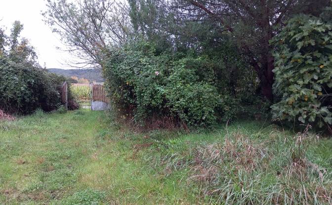 Farm/Ranch for Sale 14 Rte du Lac. Photo#3