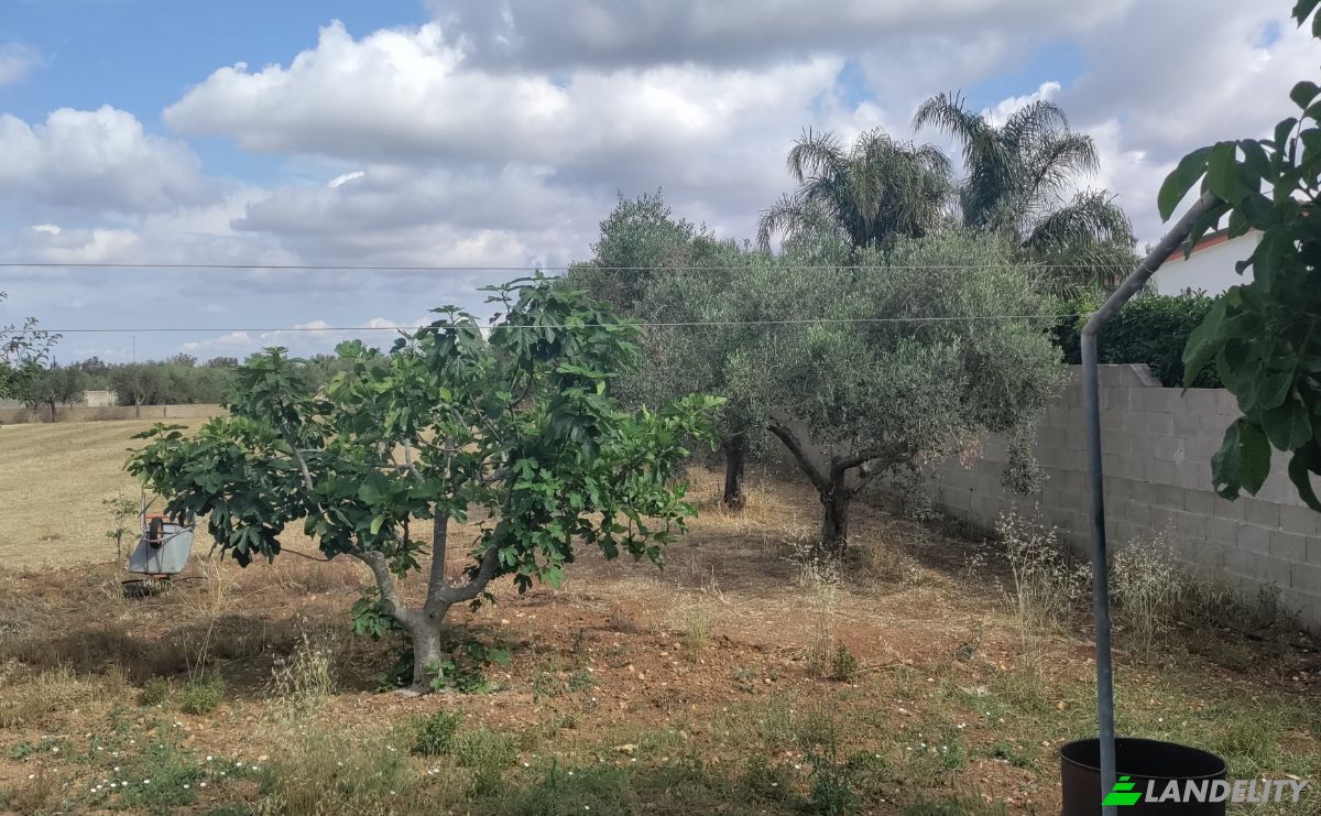 Villa in vendita Via Padula, 73010 Sogliano Cavour LE, Sogliano Cavour LE, Provincia di Lecce, Puglia, Italia. Foto 10