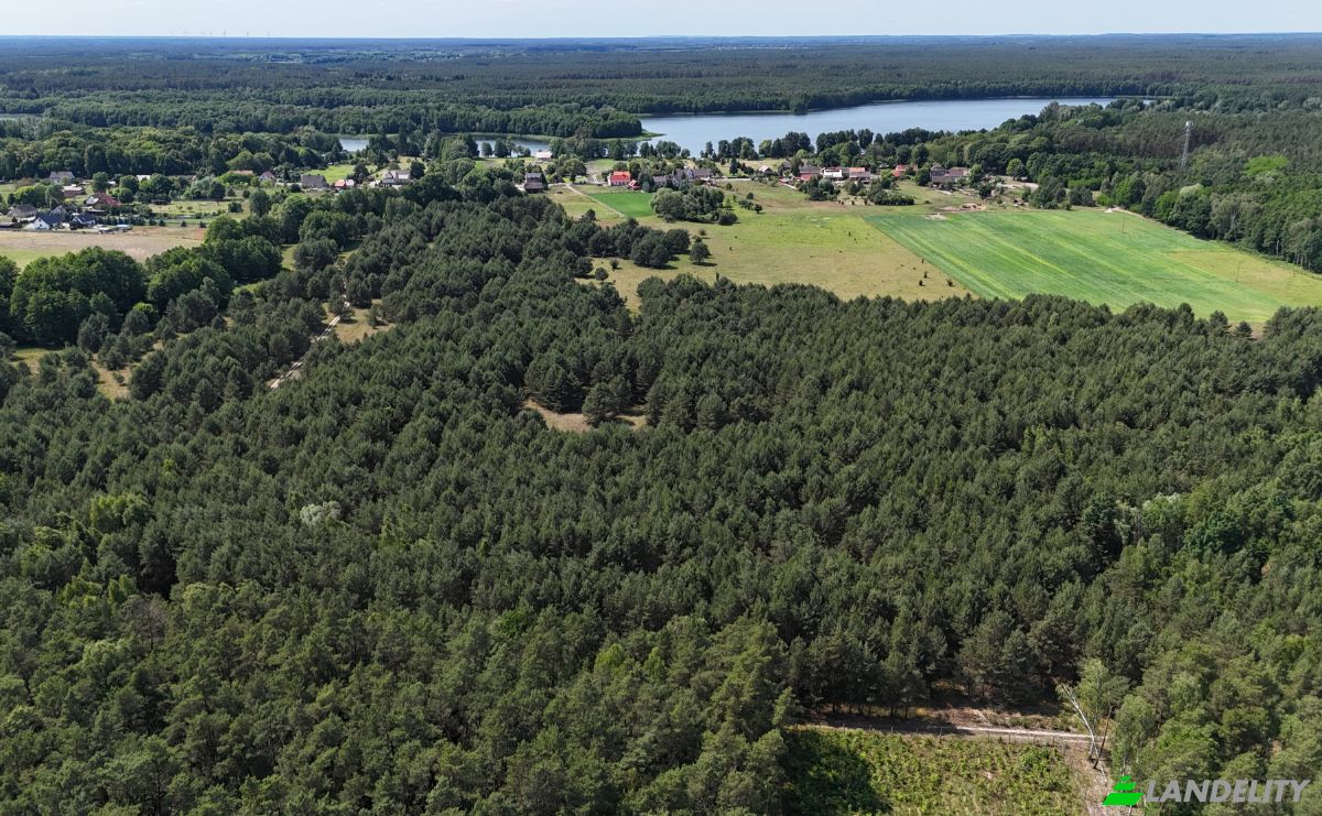 Investing/Development for Sale Droga Bez Nazwy, 74-311, Ostrowiec, Mysliborz County, West Pomeranian Voivodeship, Poland. Photo 3