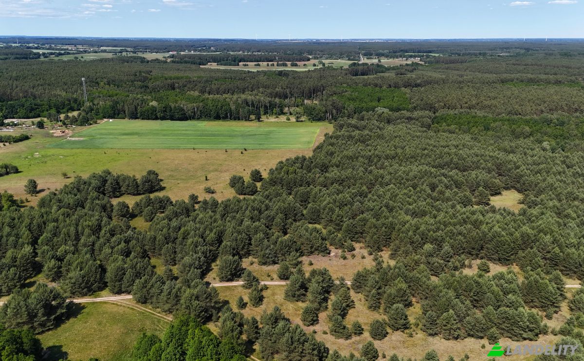 Investing/Development for Sale Droga Bez Nazwy, 74-311, Ostrowiec, Mysliborz County, West Pomeranian Voivodeship, Poland. Photo 6
