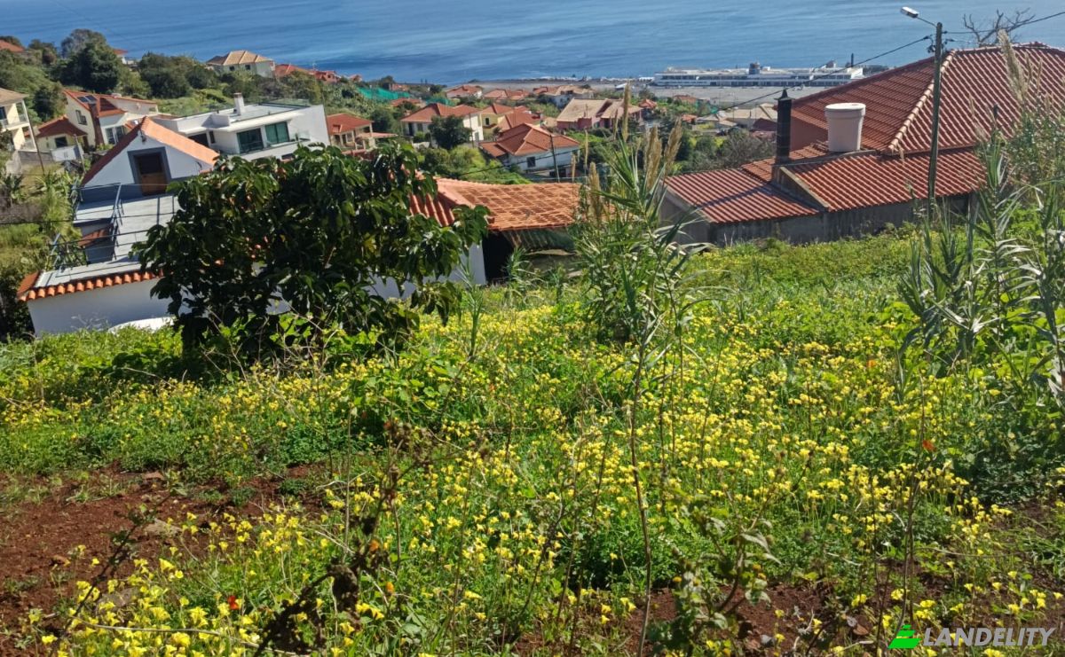 Investing/Development for Sale Caminho do Roda 19, 9100-208 Santa Cruz, Santa Cruz, Madeira, Portugal. Photo 2