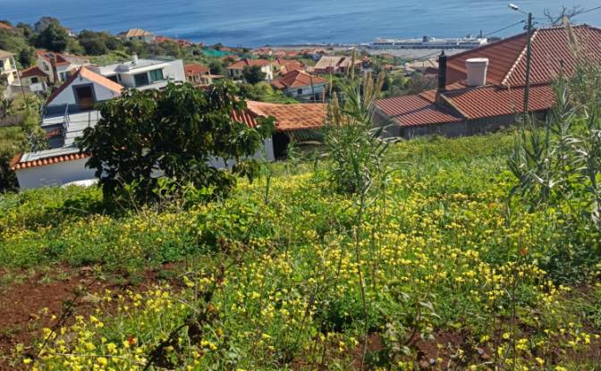 Investing/Development for Sale Caminho do Roda 19. Photo#2 Investing/Development for Sale Caminho do Roda 19. Photo#2
