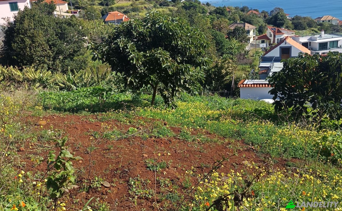 Investing/Development for Sale Caminho do Roda 19, 9100-208 Santa Cruz, Santa Cruz, Madeira, Portugal. Photo 3