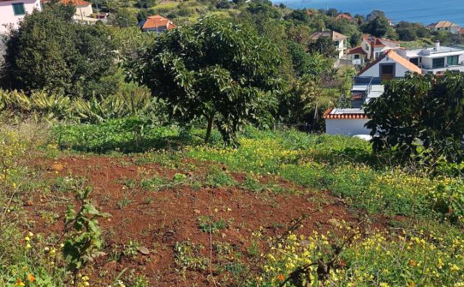 Investing/Development for Sale Caminho do Roda 19. Photo#3 Investing/Development for Sale Caminho do Roda 19. Photo#3