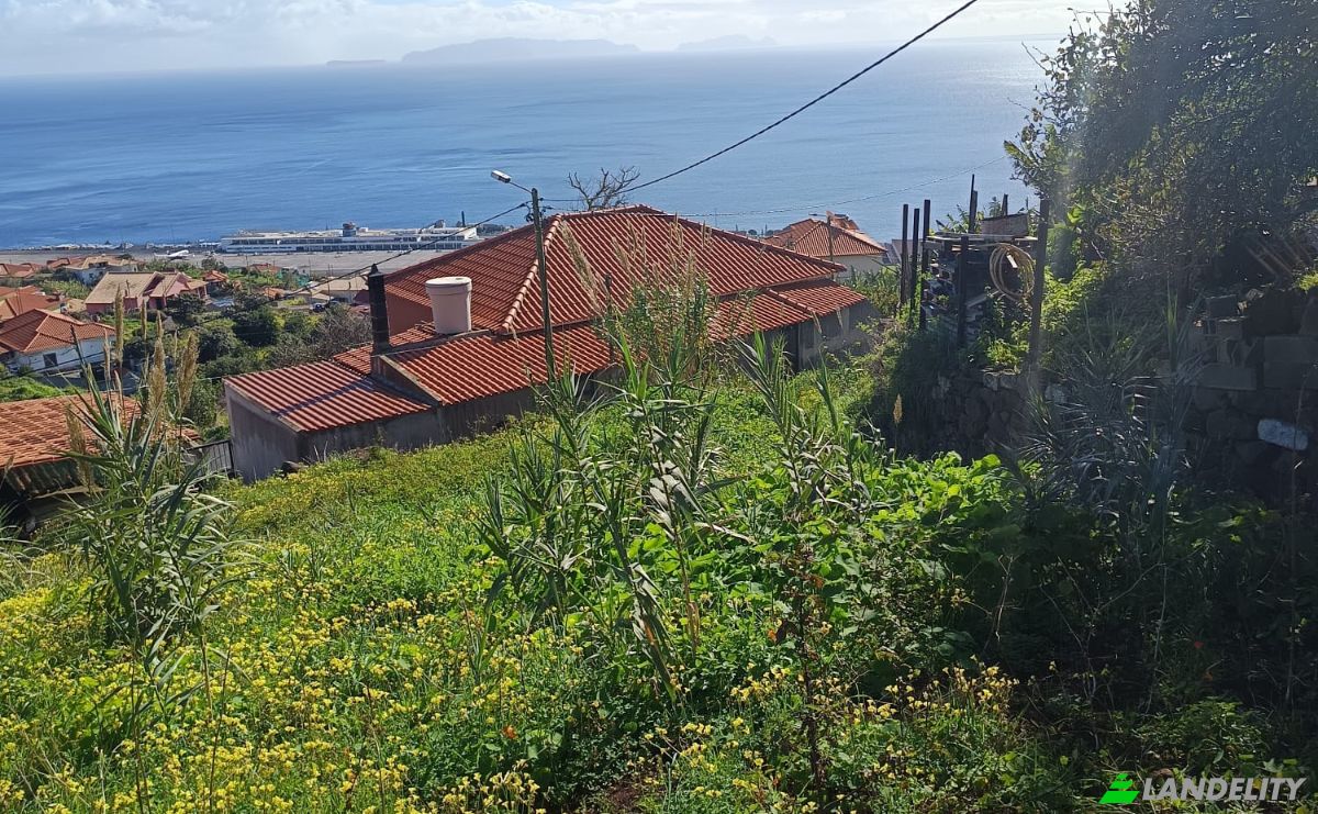 Investing/Development for Sale Caminho do Roda 19, 9100-208 Santa Cruz, Santa Cruz, Madeira, Portugal. Photo 4