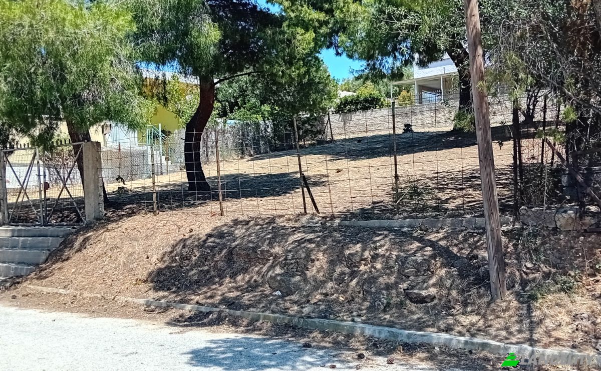 Land Lot for Sale Omirou 10, Rafina 190 09, Rafina, Attica, Decentralized Administration of Attica, Greece. Photo 2